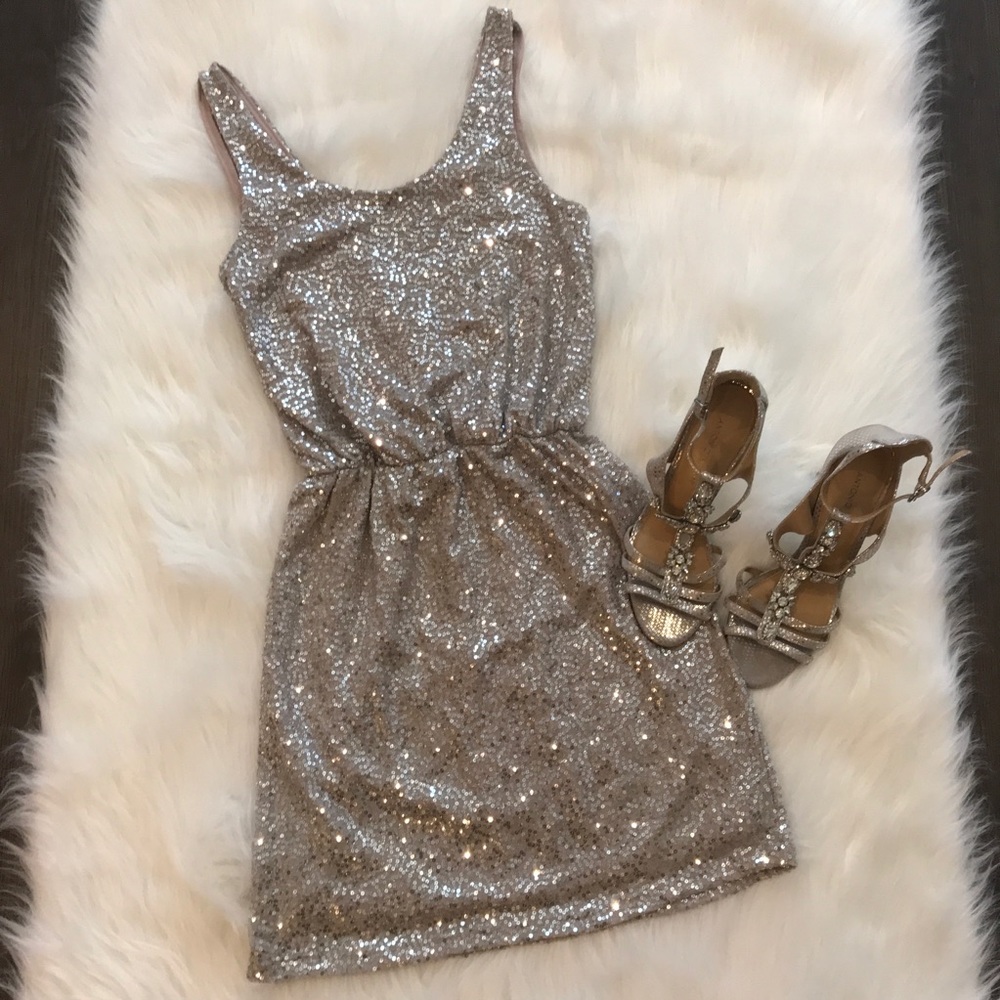 Express Silver Sequins Dress